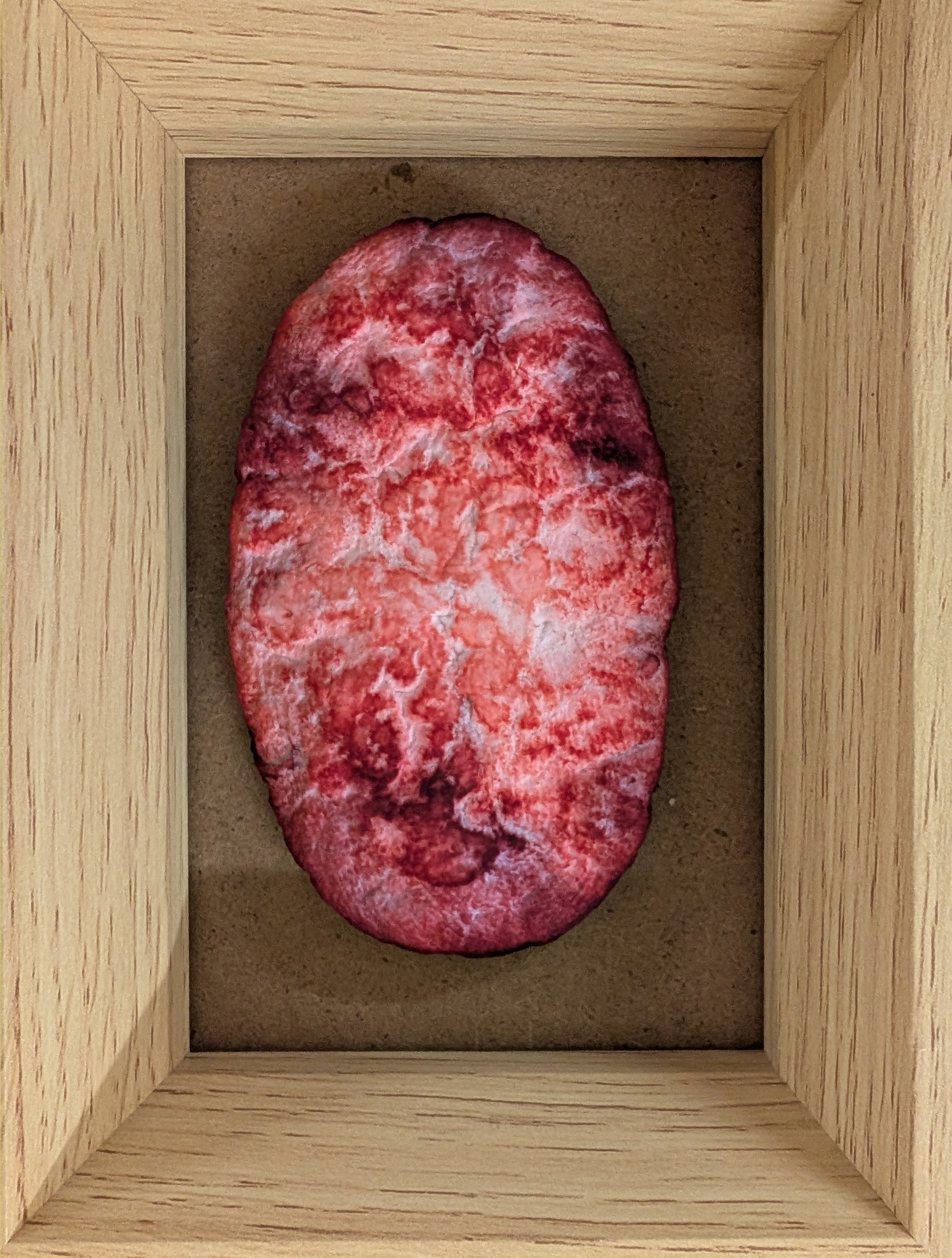 Packaged Meat, opera 8